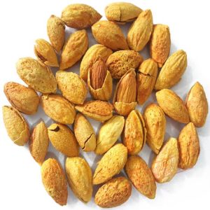 Nonpareil Badem Fidanı