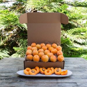 Organik Kayısı Meyvesi